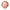 gid://shopify/Product/9873936875848_1