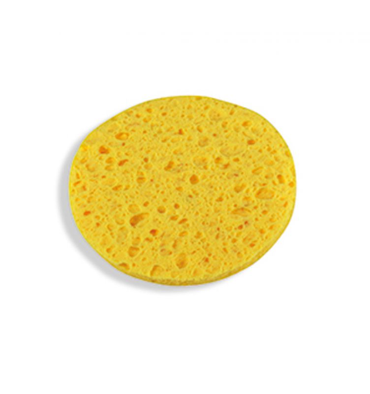 gid://shopify/Product/9874535252296_1