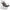 gid://shopify/Product/9982800789832_1