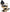gid://shopify/Product/9880207360328_1