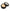 gid://shopify/Product/9873989304648_1